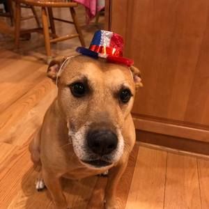 Meet your Posher, Kristin